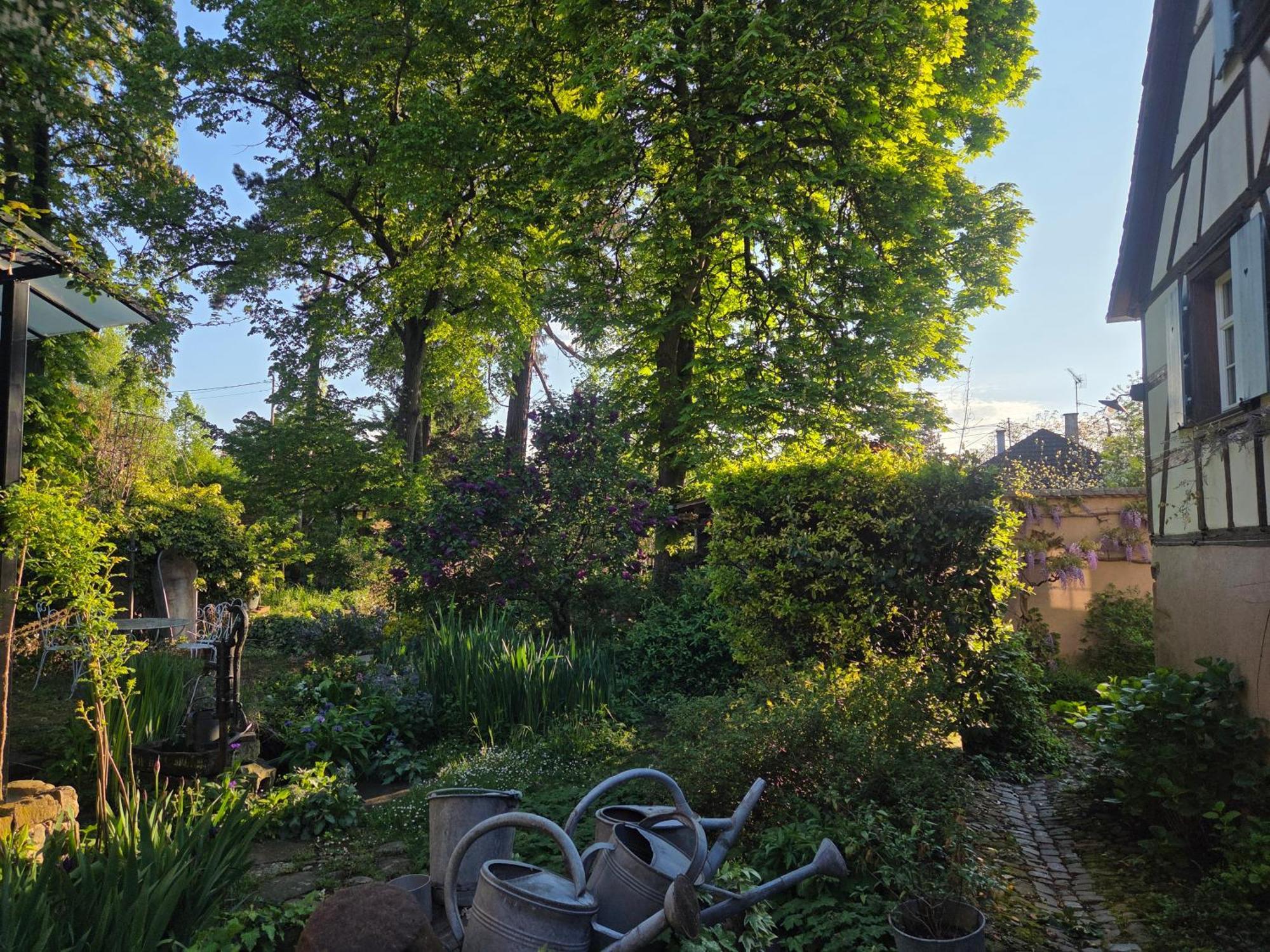 Le Temps Des Cigognes Villa Barr Buitenkant foto