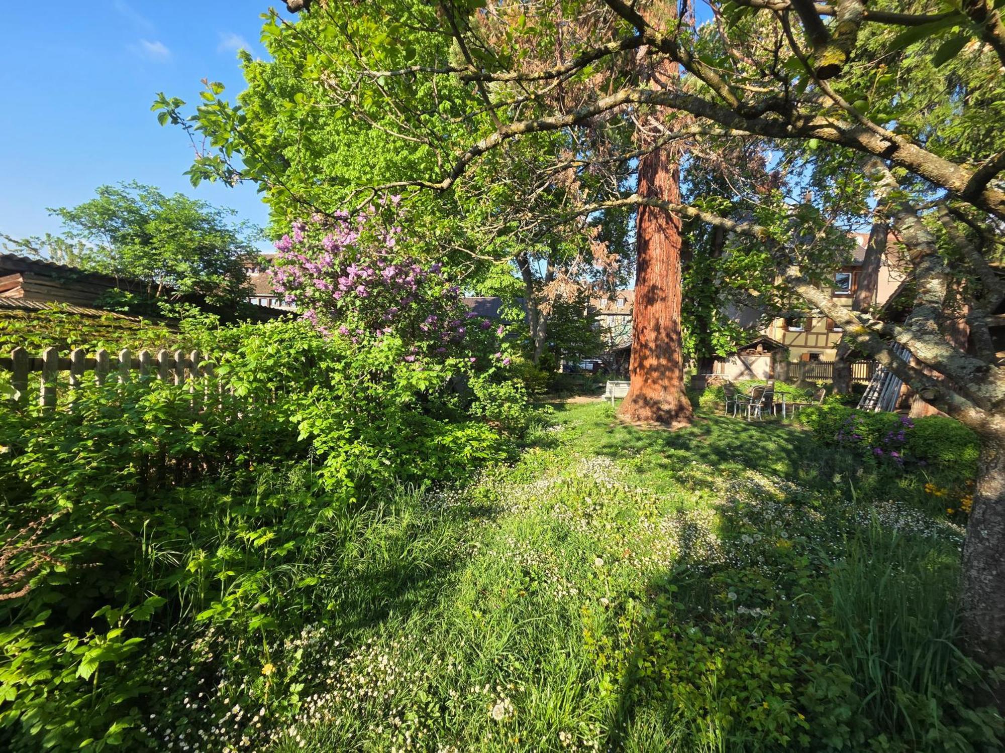 Le Temps Des Cigognes Villa Barr Buitenkant foto