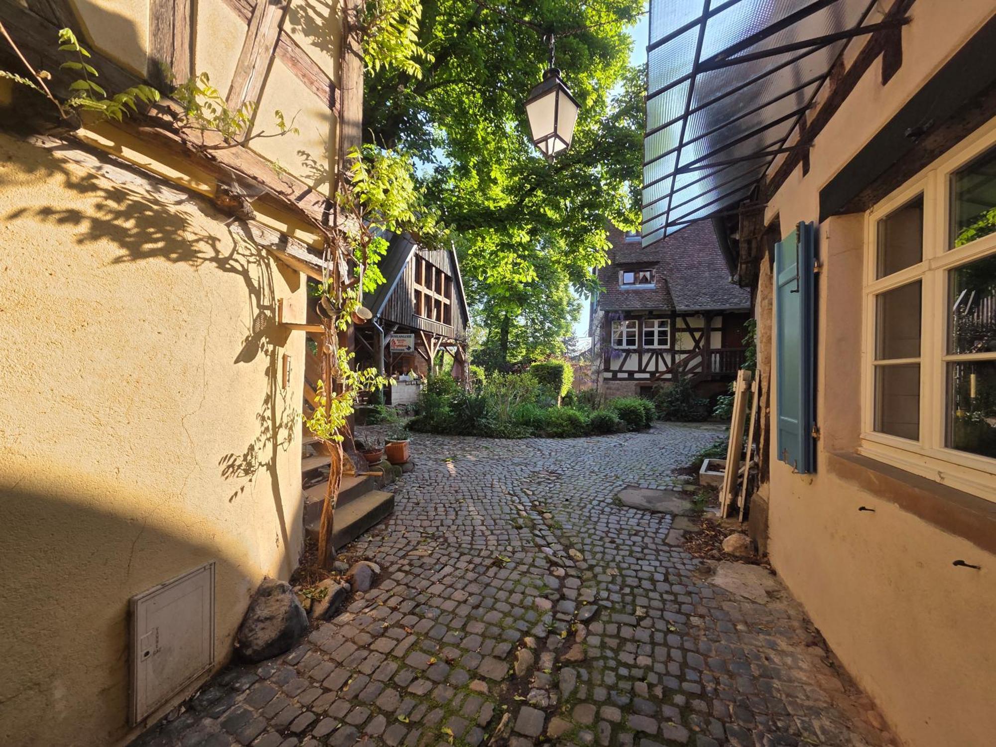 Le Temps Des Cigognes Villa Barr Buitenkant foto