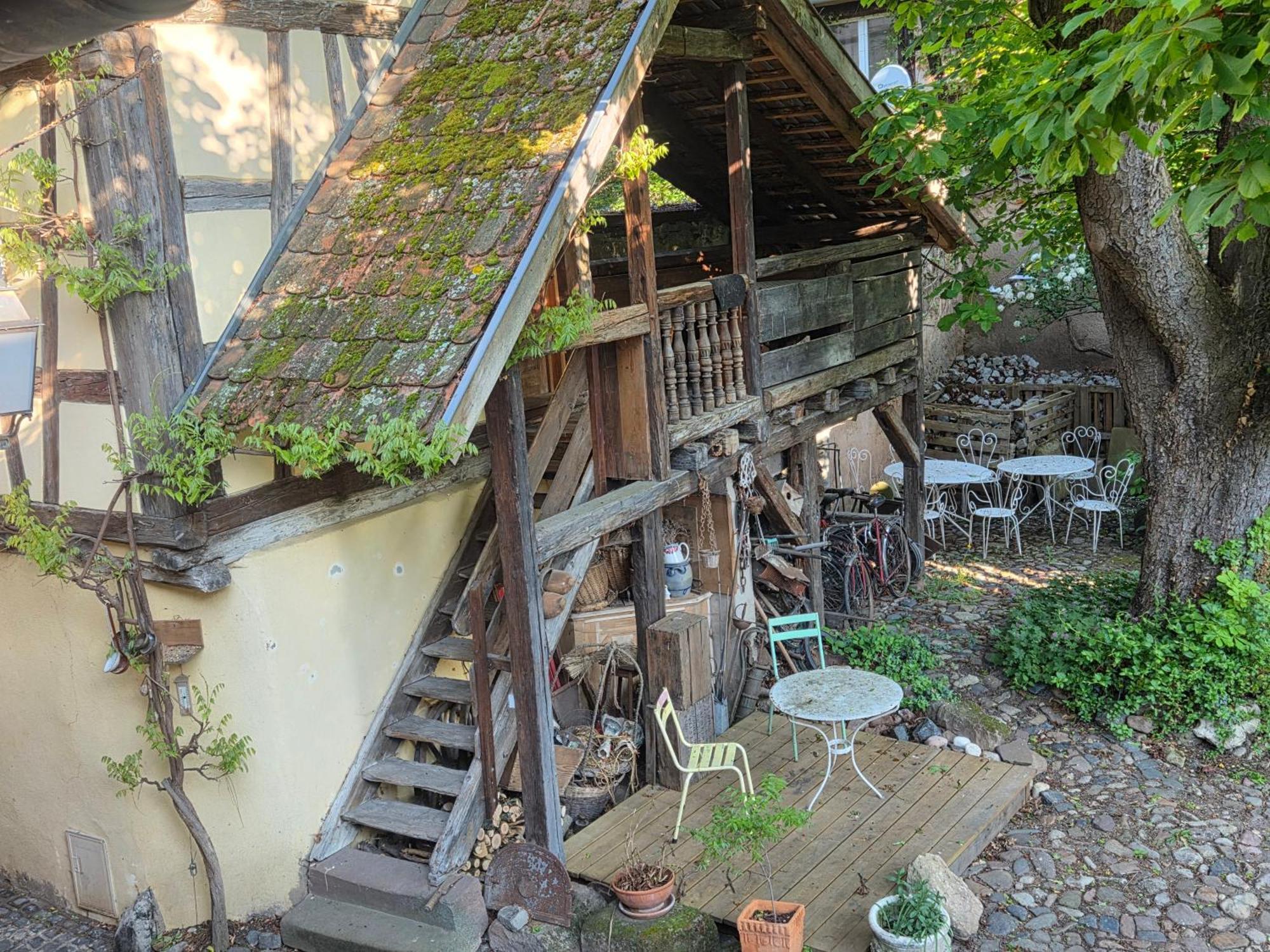Le Temps Des Cigognes Villa Barr Buitenkant foto