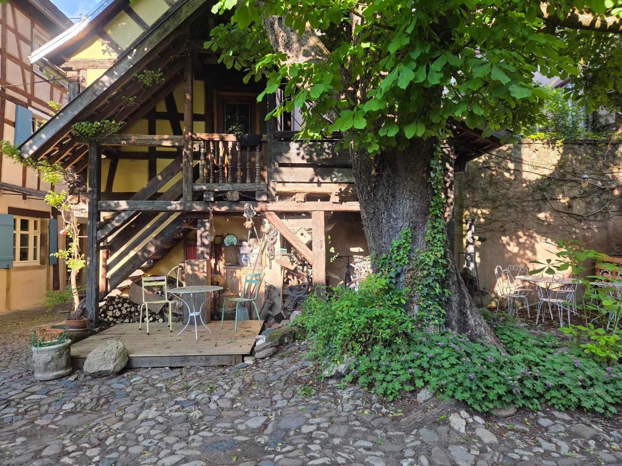 Le Temps Des Cigognes Villa Barr Buitenkant foto