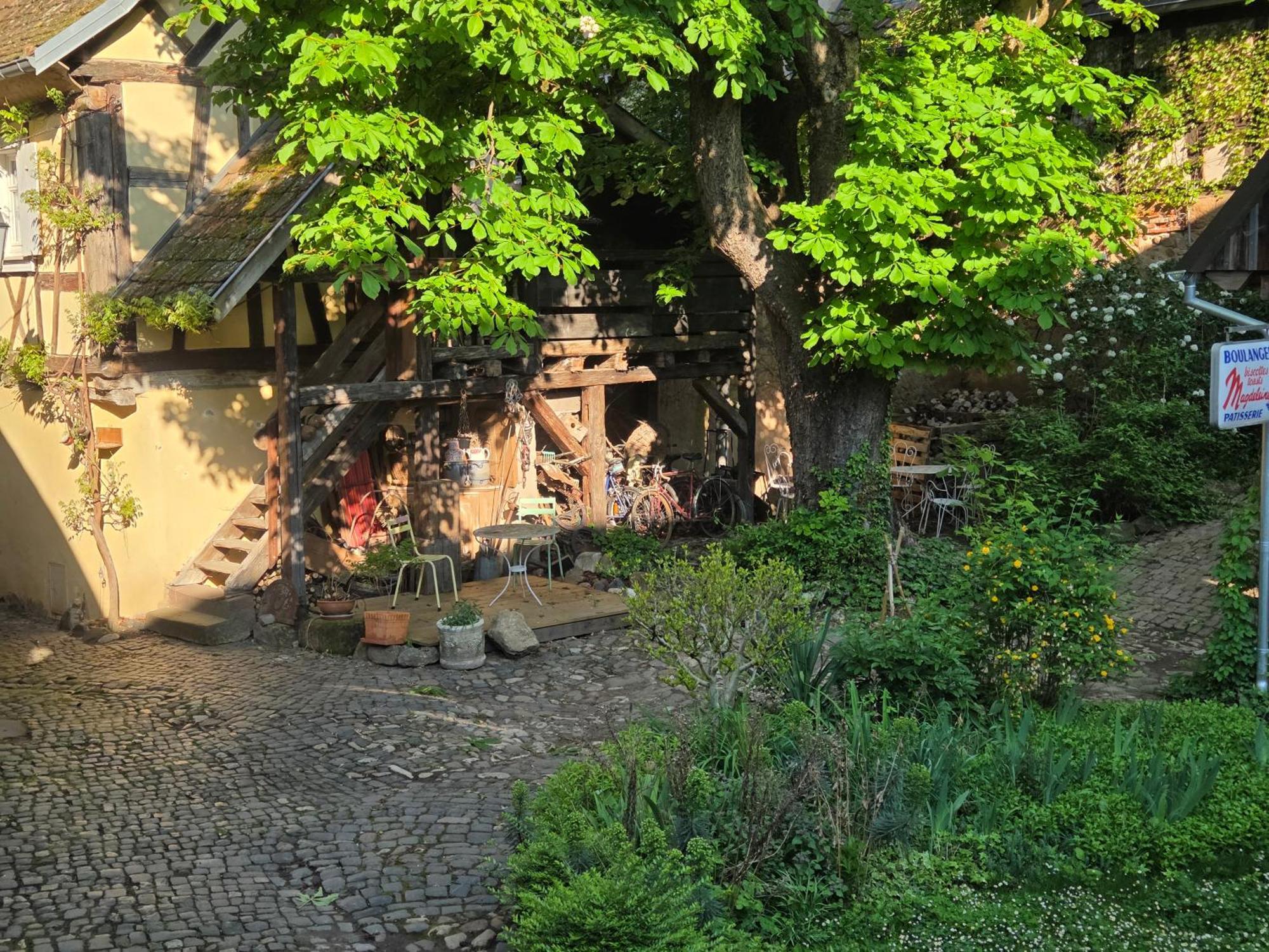 Le Temps Des Cigognes Villa Barr Buitenkant foto