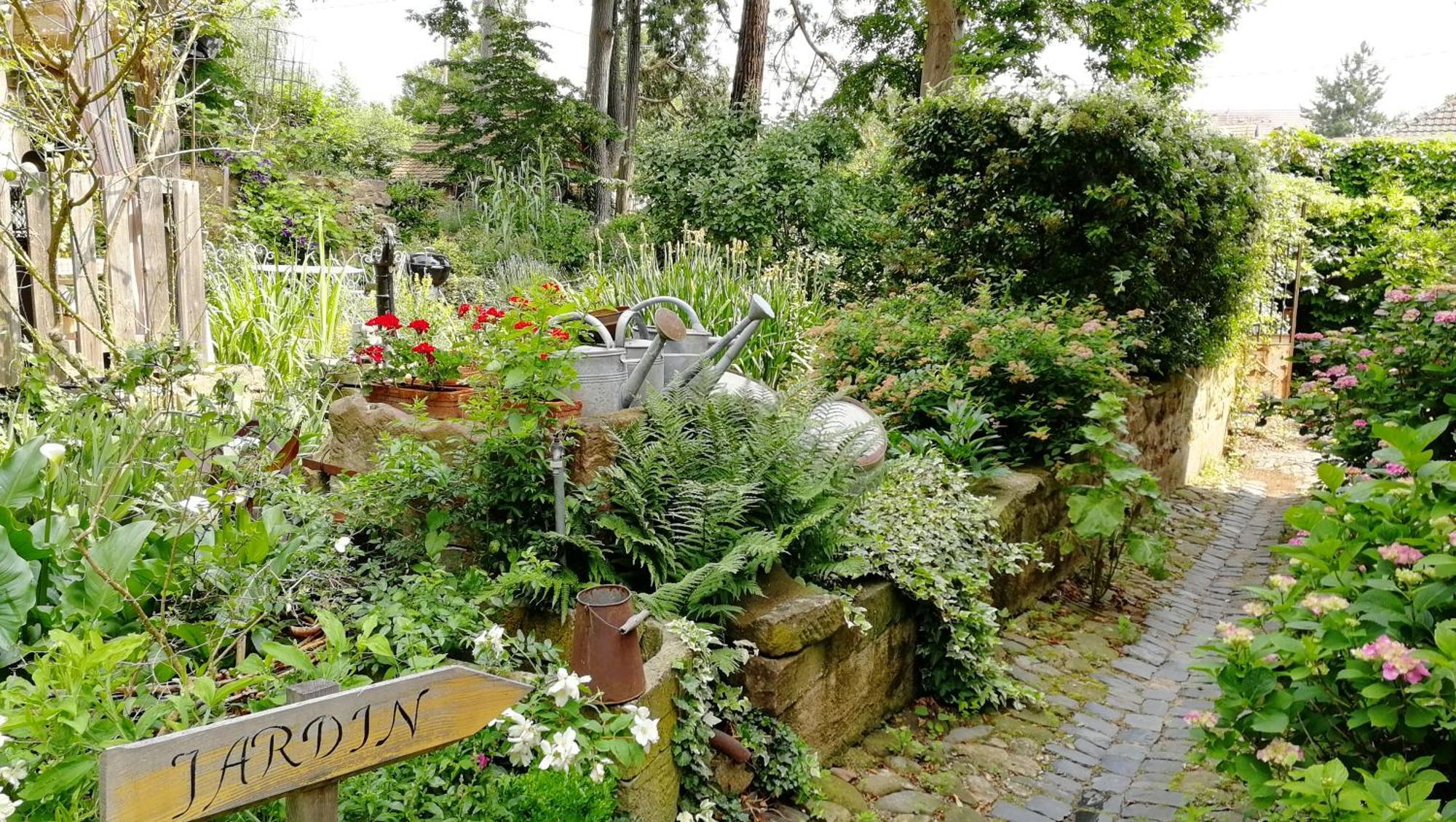 Le Temps Des Cigognes Villa Barr Buitenkant foto